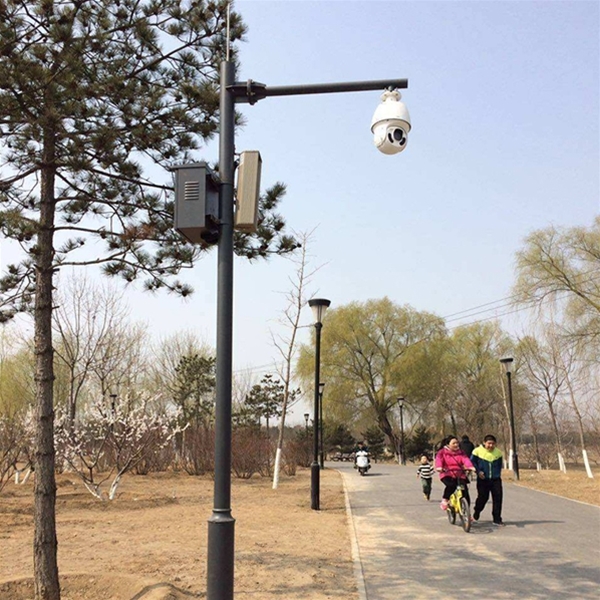 兰州路灯监控杆-LB-03