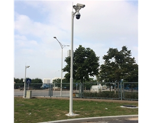 兰州道路监控杆-LB-05