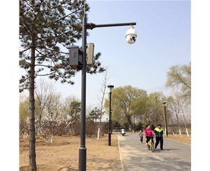 兰州路灯监控杆-LB-03